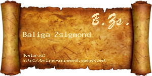 Baliga Zsigmond névjegykártya